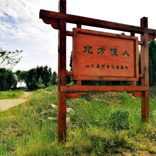 【茶馆茶叶】【金露香萱】小众茶上新第十期丨阿里山冬片茶丨香水融合 口感醇厚 难得的好茶 商品图1