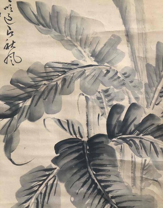 日本回流画《蕉叶图》 商品图3