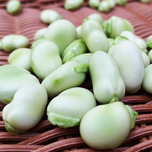 蚕豆带壳 500g 商品图1