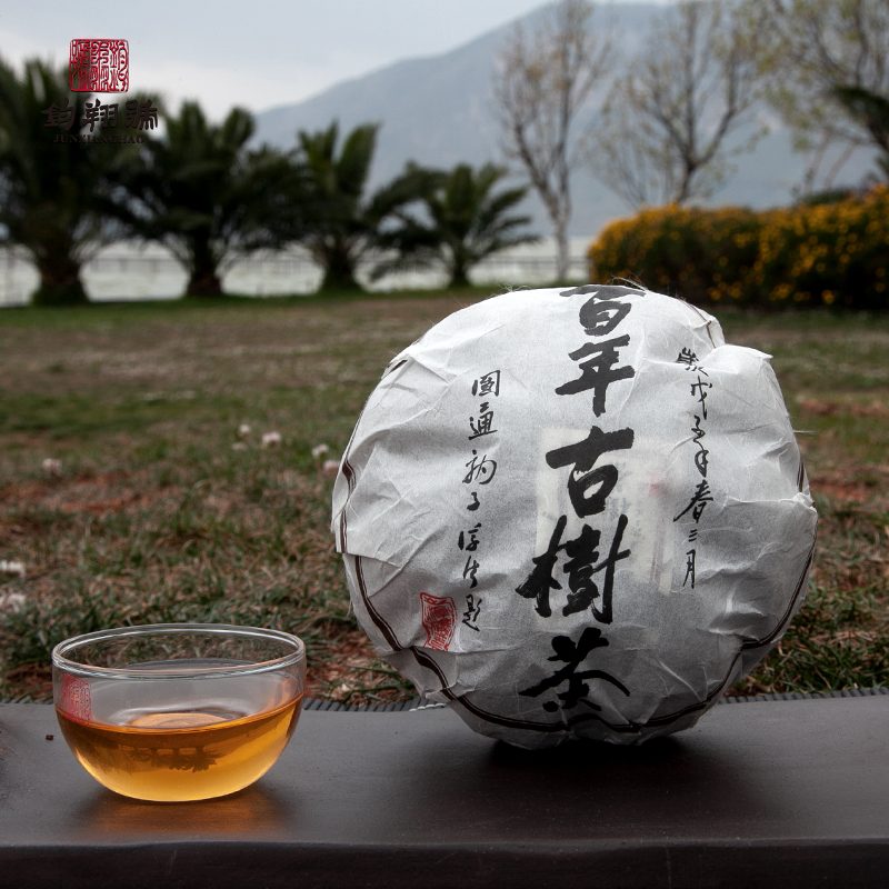 百年古树茶666克金瓜