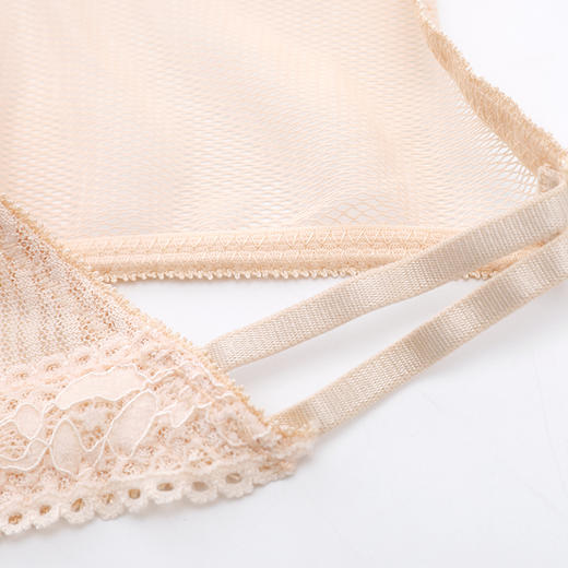 雅黛丽春夏新品性感网纱蕾丝内裤女士低腰三角裤DYK96306 商品图3