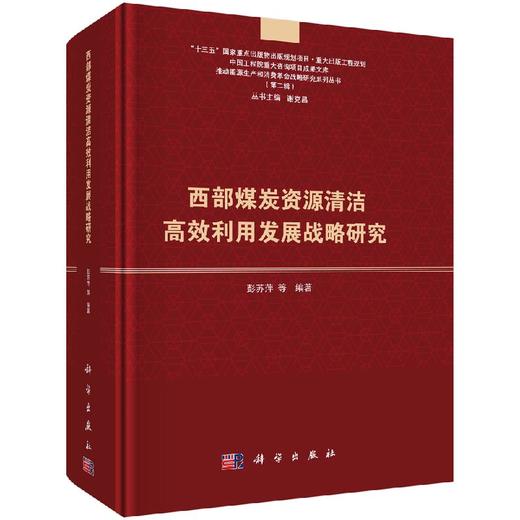 西部煤炭资源清洁高效利用发展战略研究 商品图0