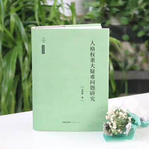 王利明教授•集成力作丨「人格权重大疑难问题研究」天下•法学新经典系列重磅新书 商品图0