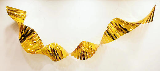 造型钻石帘【运费自理】 商品图2