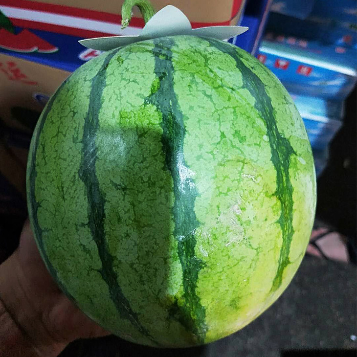 帅童西瓜1个约28斤