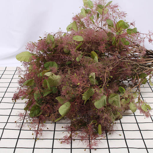 雾中情人 商品图2