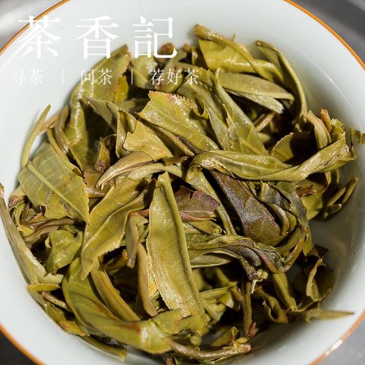 茶香记老曼峨生态野放生普2019年苦而化甘勐海布朗山苦茶系生津迅猛