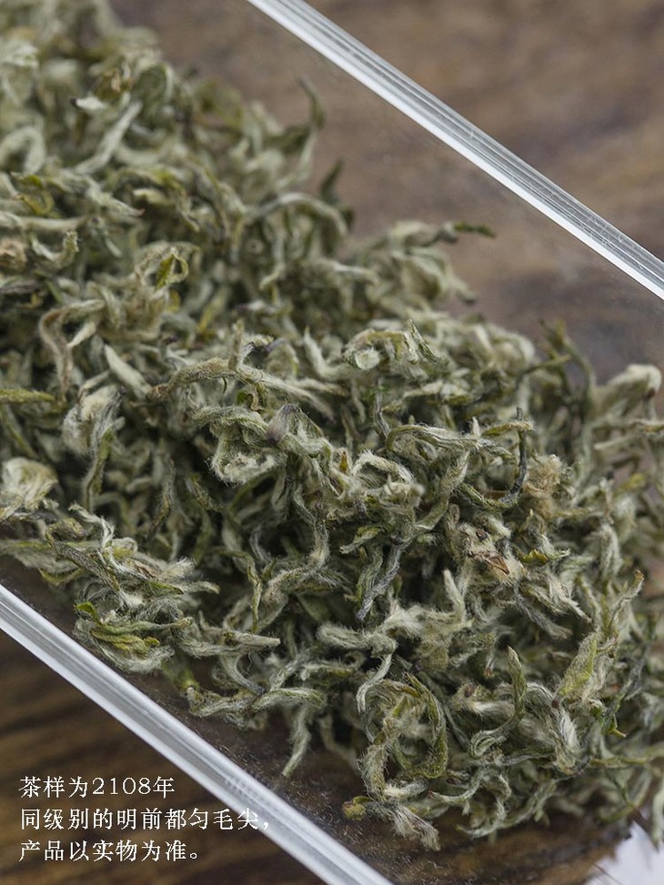 茶香记都匀毛尖明前全手工2019年十大名茶明前头采白毫密布清新鲜爽