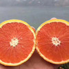 秭归红橙中华红橙 4.5/8斤装 商品缩略图6