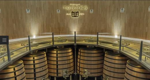 西班牙桃乐丝菲兰索白葡萄酒2016Torres Fransola Sauvignon Blanc, Penedes, Spain 商品图5