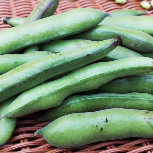 蚕豆带壳 500g 商品图3