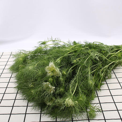 黑种草·白色 商品图0