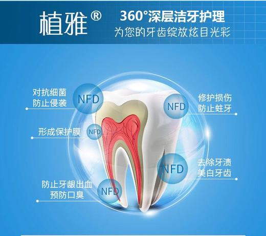 【无限ji牙膏】植ya牙膏140g 商品图3