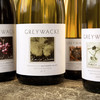 灰瓦岩狂野长相思干白葡萄酒2022 Greywacke wild sauvignon blanc 商品缩略图2