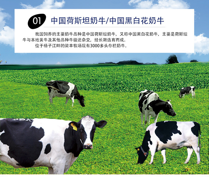 1箱梁丰草莓牛奶芝士牛奶核桃花生三角包抖音网红牛奶200mlx12包