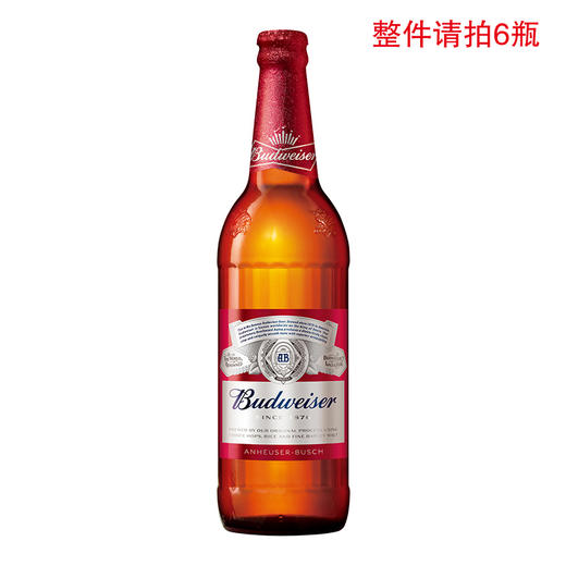 百威瓶装啤酒600ml 商品图0