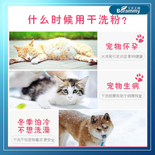 宝莱美露宠物狗狗幼犬干洗粉260g大瓶免洗免水清洁用品 商品图4