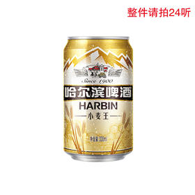 哈尔滨小麦王10度听装啤酒330ml