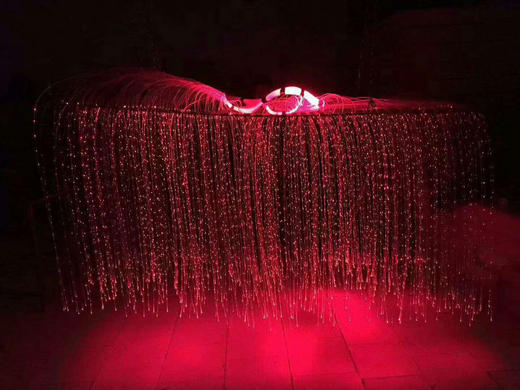 网红光纤灯（帘）流苏【运费自理】 商品图0