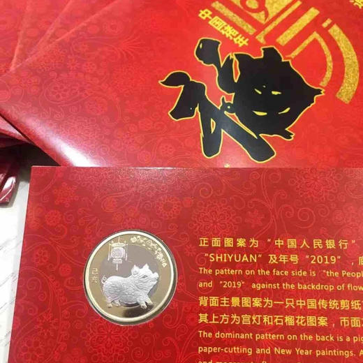 康银阁装帧2019生肖猪年普通纪念币卡册 商品图0