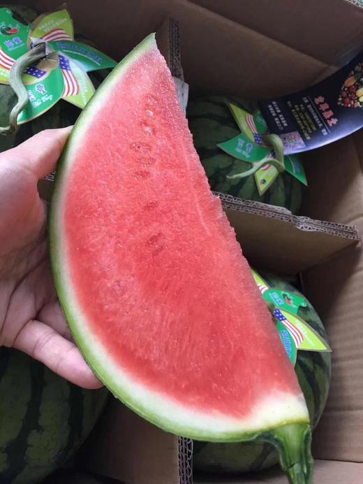宏丰精选 帅童西瓜 皮薄肉红,肉比其他瓜更硬 口感脆甜