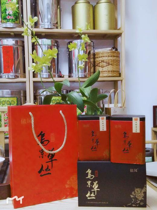 单从茶 商品图0