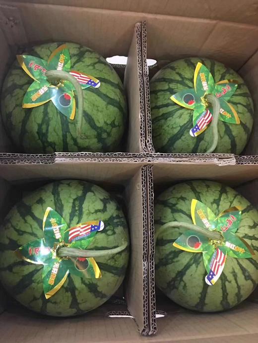 宏丰精选 帅童西瓜 皮薄肉红,肉比其他瓜更硬 口感脆甜