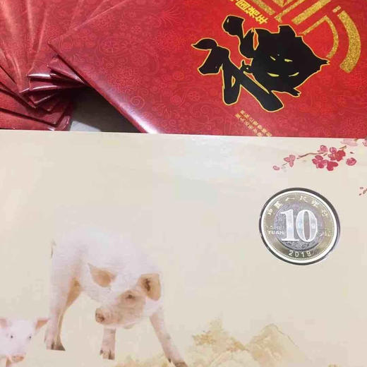 康银阁装帧2019生肖猪年普通纪念币卡册 商品图1