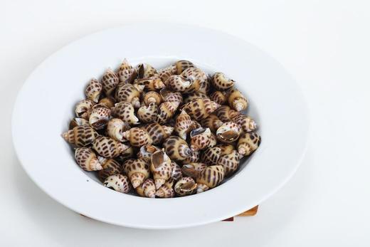 【提前1天预订】野生红肉花螺 鲜活直发 商品图2