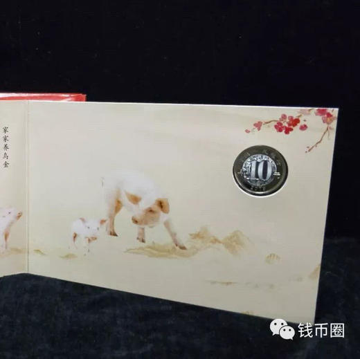 康银阁装帧2019生肖猪年普通纪念币卡册 商品图2
