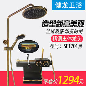 健龙 恒温大花洒 SF1701GB-S 黑金