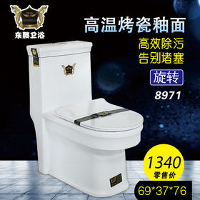 8971东鹏 坐便器