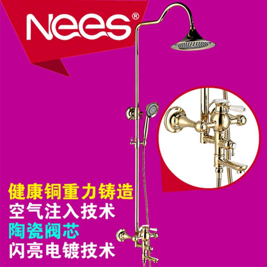 丽驰 大花洒 帝王(土豪金)88848 商品图0