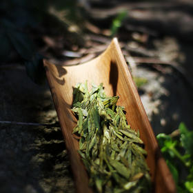 [第45期]嘉木会2017雨前老树龙井（绿茶 | 清纯豆香）