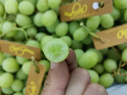 澳洲进口甜地球青提葡萄,纯甜香脆 - 李太微商城