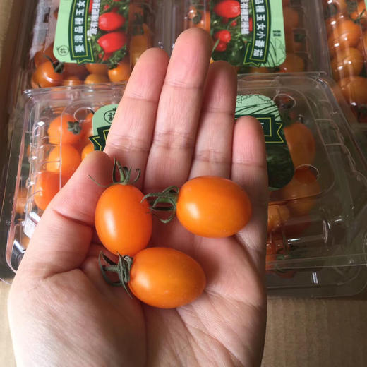 ~玉女番茄（红色好浓的番茄味），传闻用豆浆浇灌的就是这货！我怀疑我以前吃的番茄都是假的[捂脸]超薄的果皮，超甜细腻果肉，口口爆浆，让人身心愉悦的甜度！ 商品图10