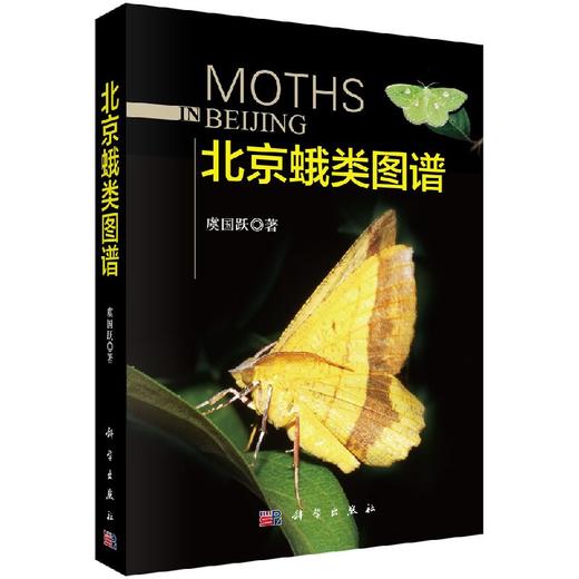 [按需印刷]北京蛾类图谱 商品图0