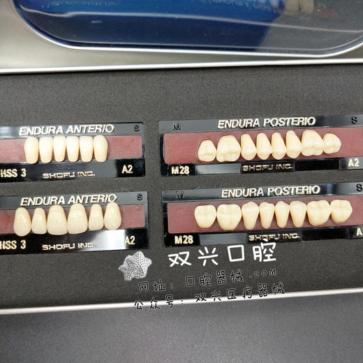 松风塑钢牙Hss3 / Hss4 / Hss5 商品图0