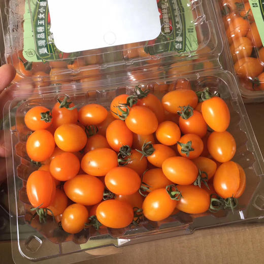 ~玉女番茄（红色好浓的番茄味），传闻用豆浆浇灌的就是这货！我怀疑我以前吃的番茄都是假的[捂脸]超薄的果皮，超甜细腻果肉，口口爆浆，让人身心愉悦的甜度！ 商品图5