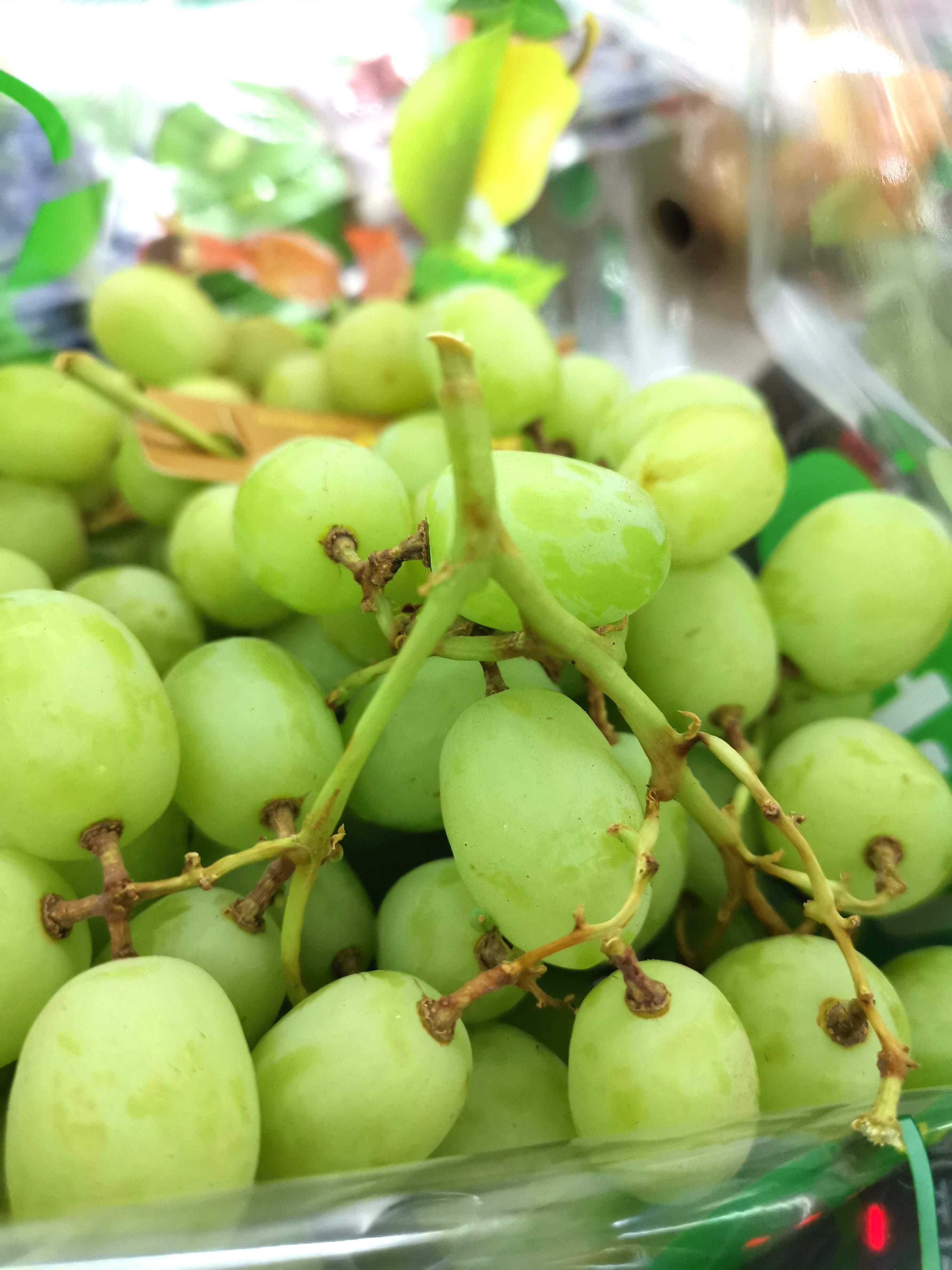 澳洲进口甜地球青提葡萄,纯甜香脆 - 李太微商城