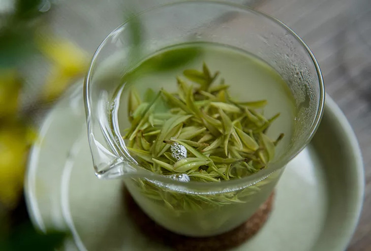 茶香记明前安吉白茶2019年明前茶寻芳茶舍绿茶