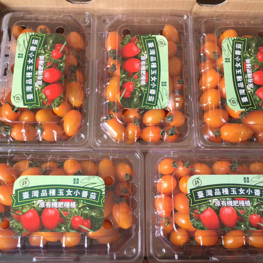~玉女番茄（红色好浓的番茄味），传闻用豆浆浇灌的就是这货！我怀疑我以前吃的番茄都是假的[捂脸]超薄的果皮，超甜细腻果肉，口口爆浆，让人身心愉悦的甜度！ 商品图9