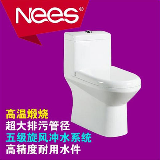 丽驰 坐便器 6161 300mm 商品图0