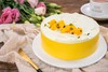 【会员特惠132元】雪域芒流芝士蛋糕 商品缩略图0