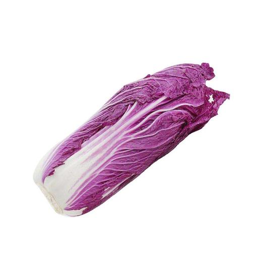 紫白菜  12元/斤   商品图0