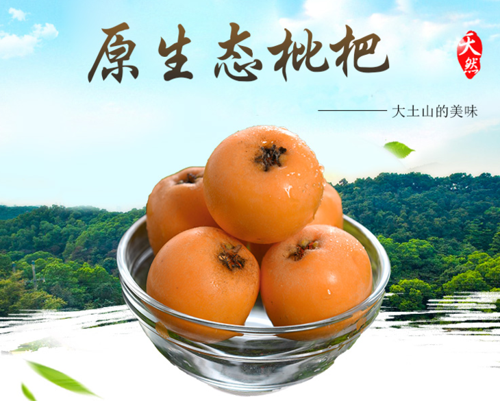 【四川·长丸枇杷】370g/盒,2盒