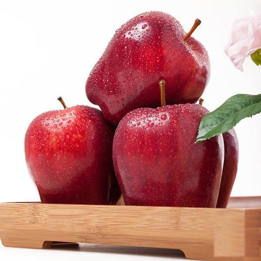 世界最好吃的蛋糕 商品图1