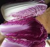 紫白菜  12元/斤   商品缩略图2