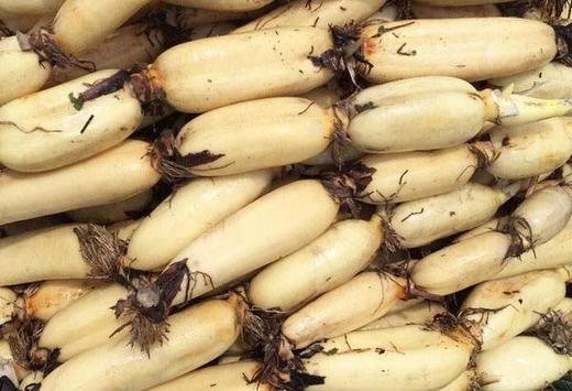 【暂时无货】水果藕 500g/11元 商品图1