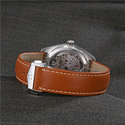 欧米茄 OMEGA 海马系列男士自动机械腕表 220.12.41.21.02.001 商品图5